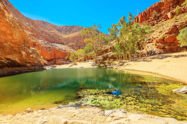 Ormiston Gorge in Larapinta NT.jpg